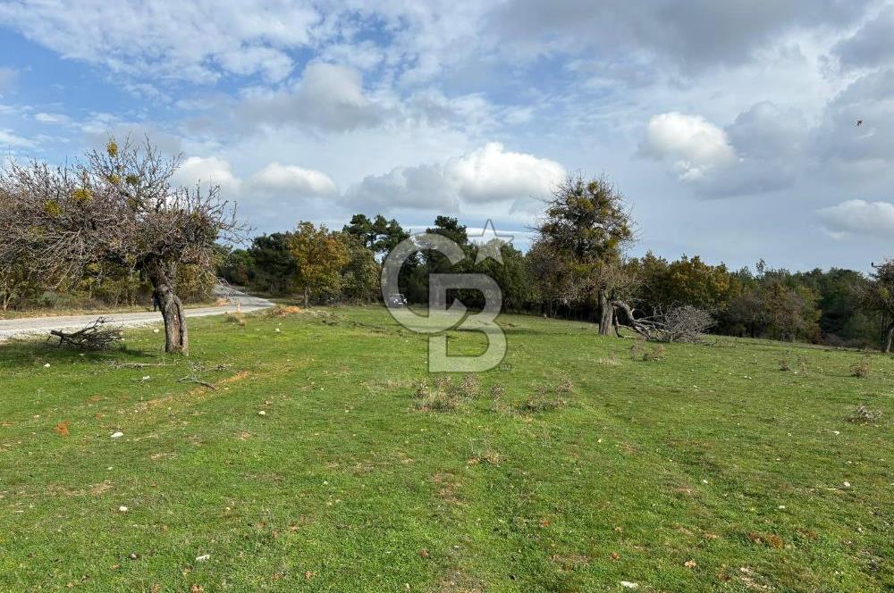 Çanakkale Salihler Köyü Satılık 6219 M² Satılık Tarla !