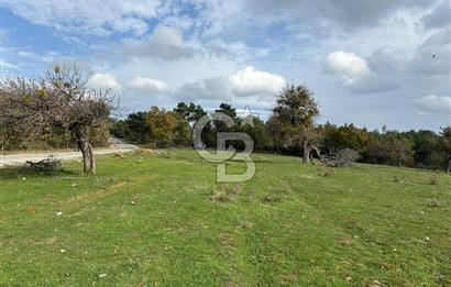Çanakkale Salihler Köyü Satılık 6219 M² Satılık Tarla !