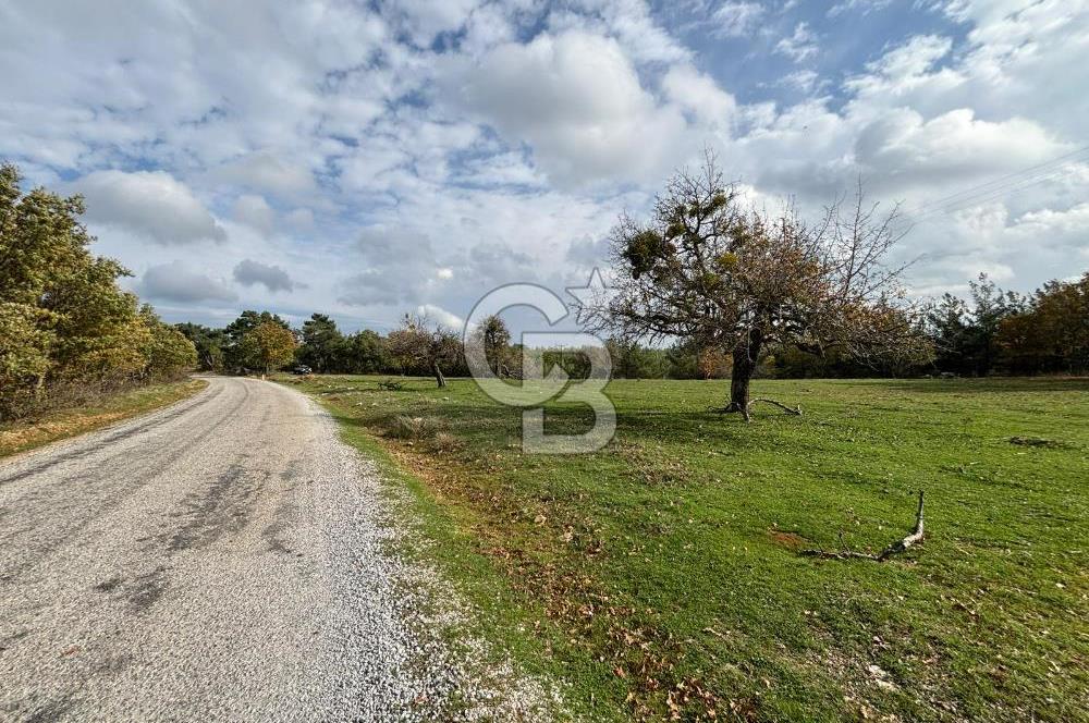 Çanakkale Salihler Köyü Satılık 6219 M² Satılık Tarla !