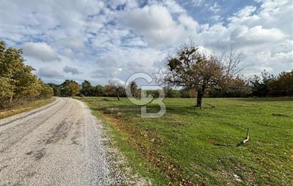 Çanakkale Salihler Köyü Satılık 6219 M² Satılık Tarla !