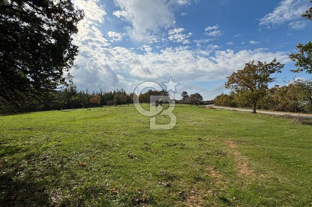 Çanakkale Salihler Köyü Satılık 6219 M² Satılık Tarla !