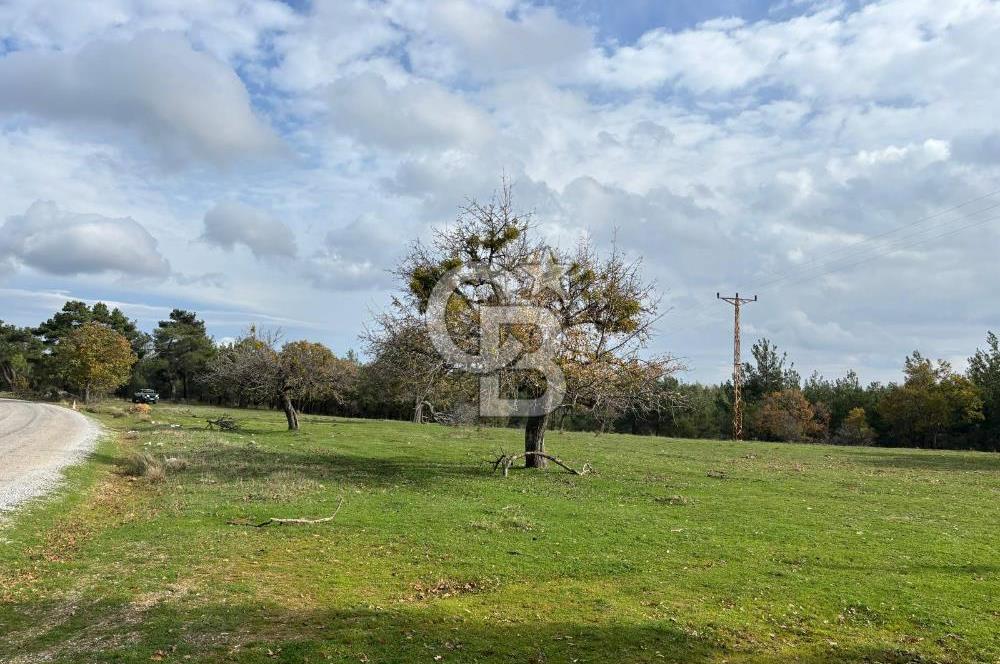 Çanakkale Salihler Köyü Satılık 6219 M² Satılık Tarla !