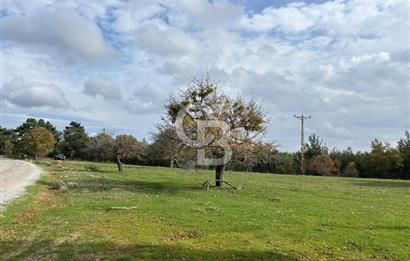 Çanakkale Salihler Köyü Satılık 6219 M² Satılık Tarla !