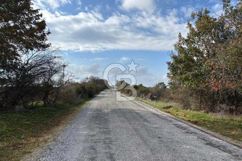 Çanakkale Salihler Köyü Satılık 6219 M² Satılık Tarla !