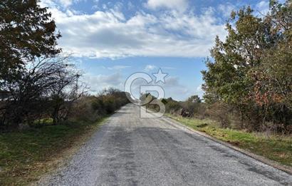 Çanakkale Salihler Köyü Satılık 6219 M² Satılık Tarla !