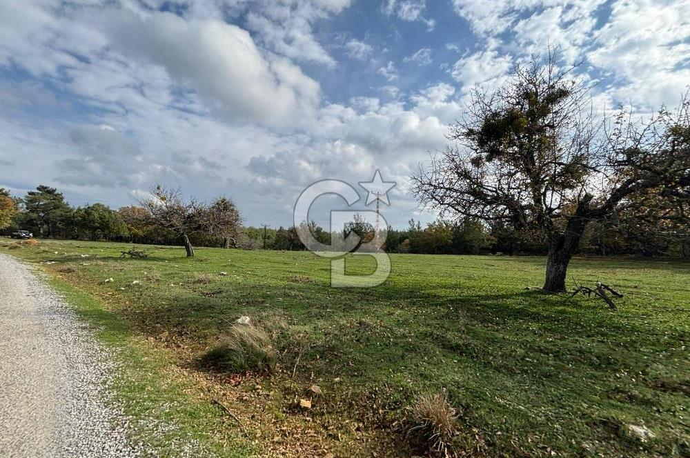 Çanakkale Salihler Köyü Satılık 6219 M² Satılık Tarla !