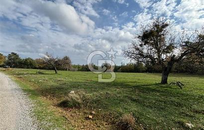 Çanakkale Salihler Köyü Satılık 6219 M² Satılık Tarla !