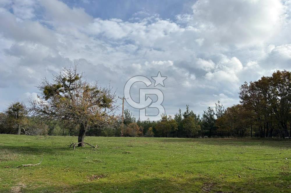 Çanakkale Salihler Köyü Satılık 6219 M² Satılık Tarla !