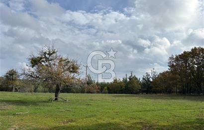 Çanakkale Salihler Köyü Satılık 6219 M² Satılık Tarla !