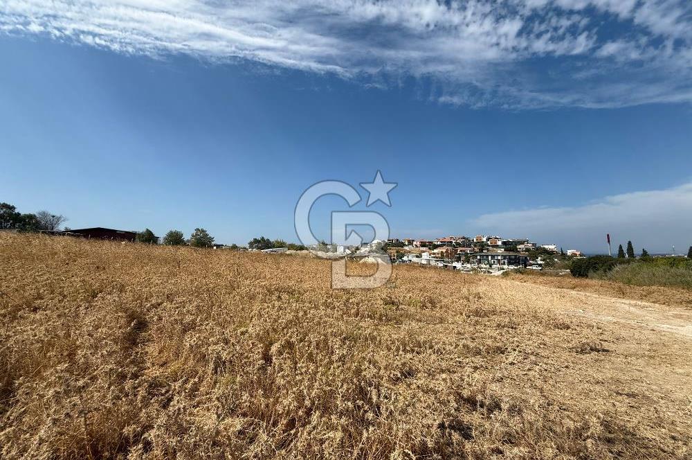 Urla Merkez de Satılık 6566m2 Arazi 