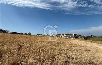 Urla Merkez de Satılık 6566m2 Arazi 