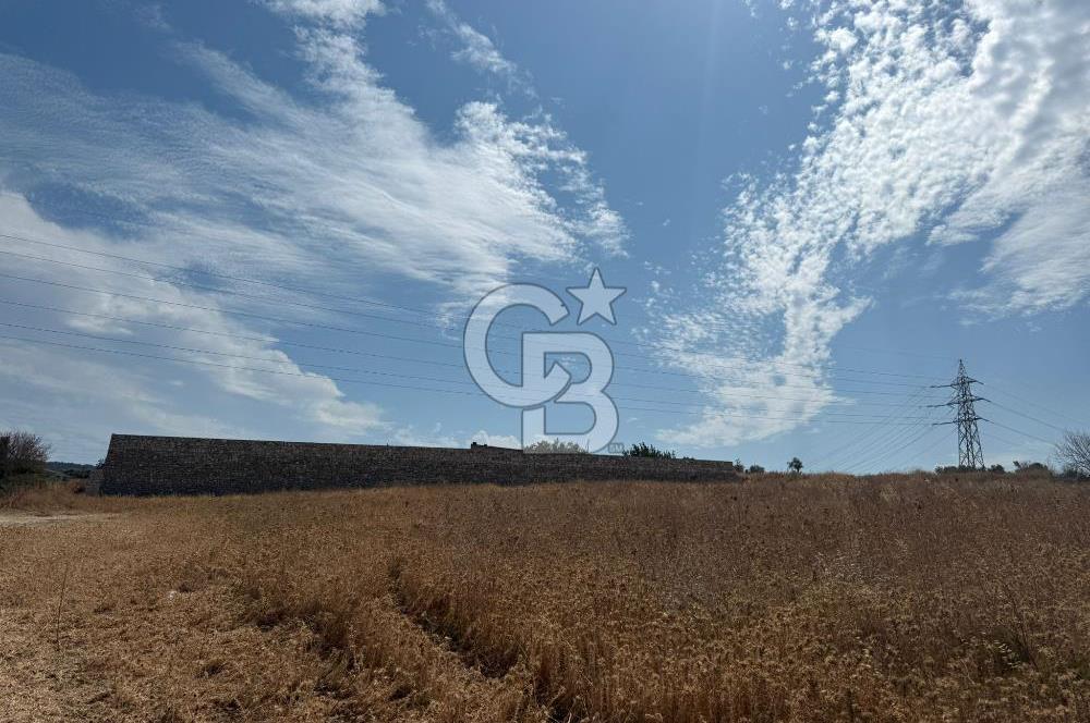 Urla Merkez de Satılık 6566m2 Arazi 