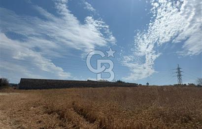 Urla Merkez de Satılık 6566m2 Arazi 