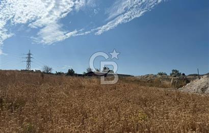 Urla Merkez de Satılık 6566m2 Arazi 