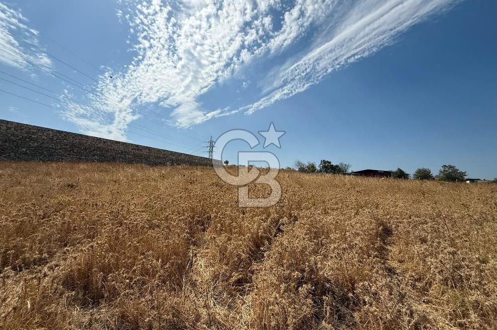 Urla Merkez de Satılık 6566m2 Arazi 