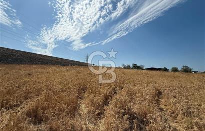 Urla Merkez de Satılık 6566m2 Arazi 