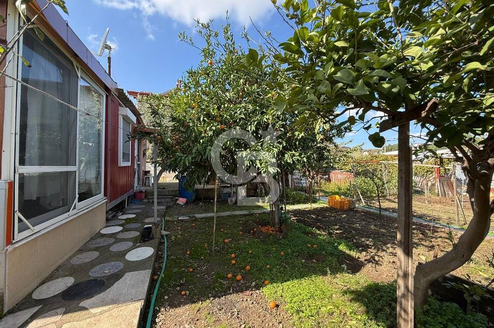 Urla İskele de satılık Tek katlı bahçeli Ev