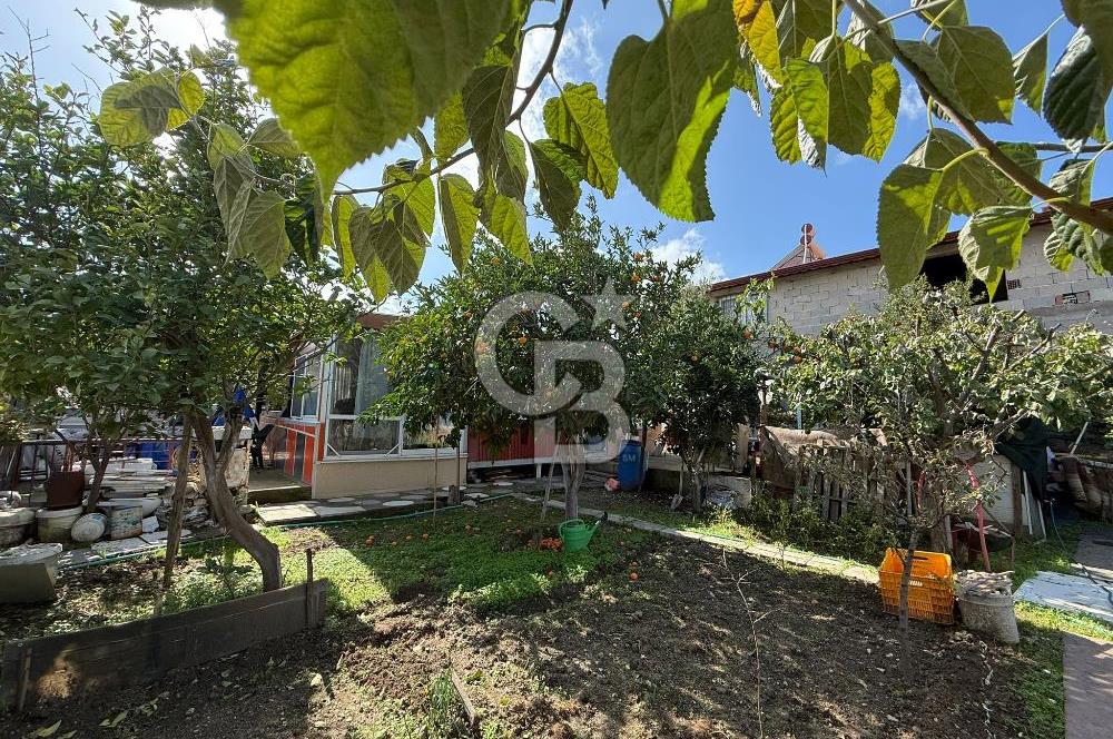 Urla İskele de satılık Tek katlı bahçeli Ev