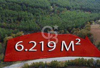 Çanakkale Salihler Köyü Satılık 6219 M² Satılık Tarla ! - 7 - 316337