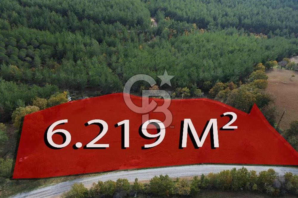 Çanakkale Salihler Köyü Satılık 6219 M² Satılık Tarla !