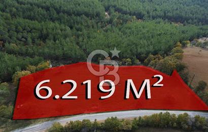 Çanakkale Salihler Köyü Satılık 6219 M² Satılık Tarla !