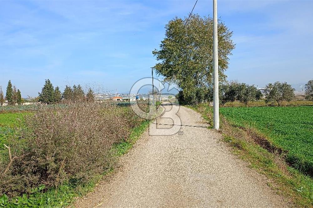 İzmir menderes çileme köyünde satılık tarla