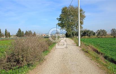 İzmir menderes çileme köyünde satılık tarla