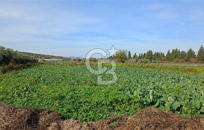 İzmir menderes çileme köyünde satılık tarla