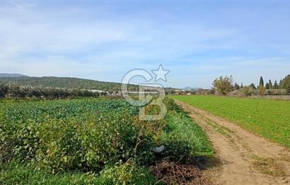 İzmir menderes çileme köyünde satılık tarla