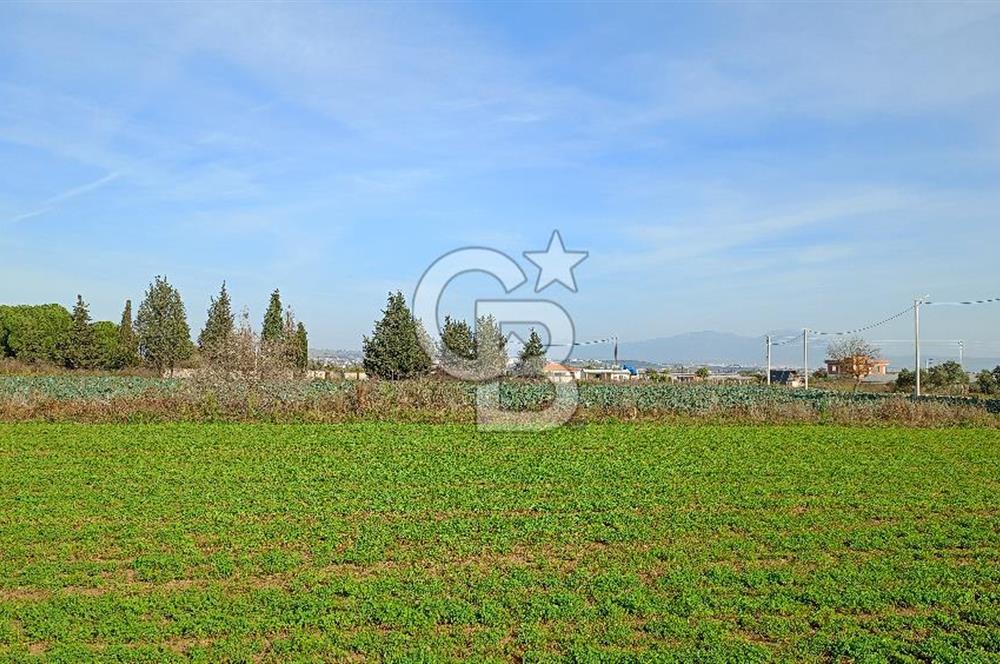 İzmir menderes çileme köyünde satılık tarla