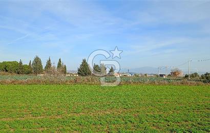 İzmir menderes çileme köyünde satılık tarla