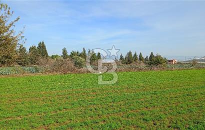 İzmir menderes çileme köyünde satılık tarla