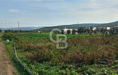 İzmir menderes çileme köyünde satılık tarla
