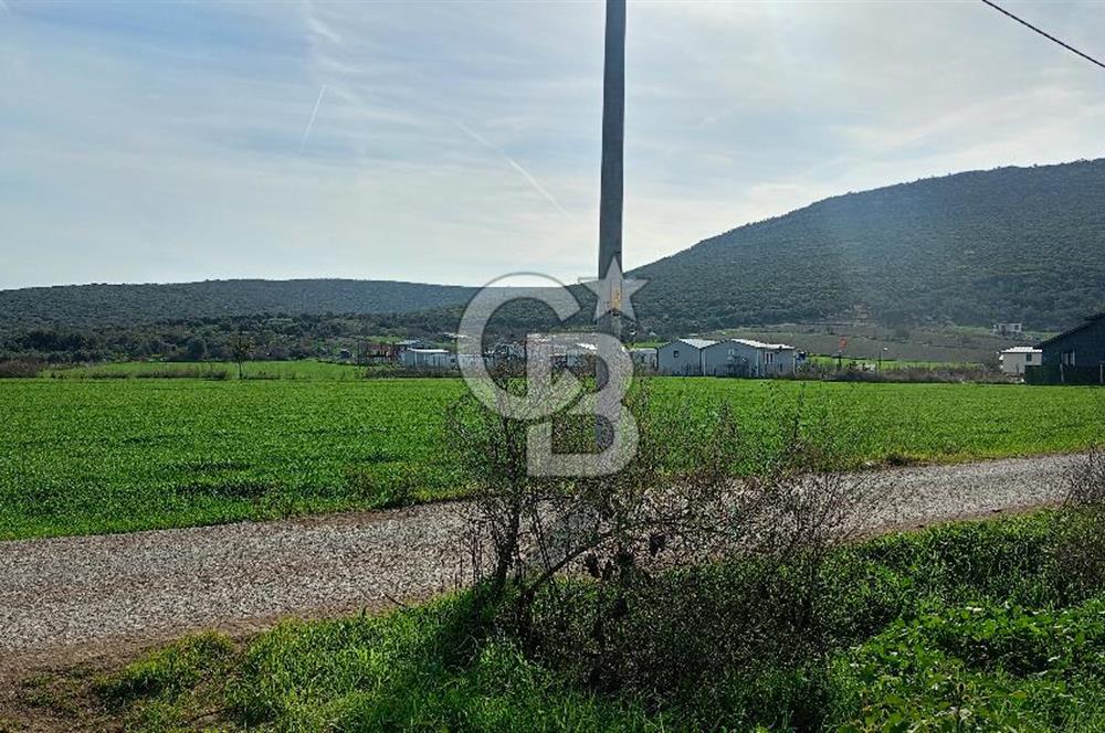 İzmir menderes çileme köyünde satılık tarla