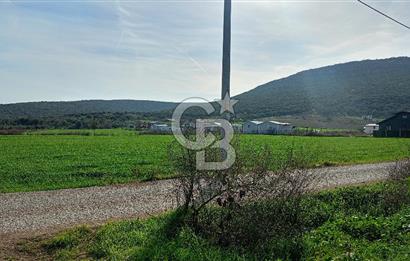 İzmir menderes çileme köyünde satılık tarla