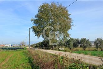 İzmir menderes çileme köyünde satılık tarla - 2 - 316367