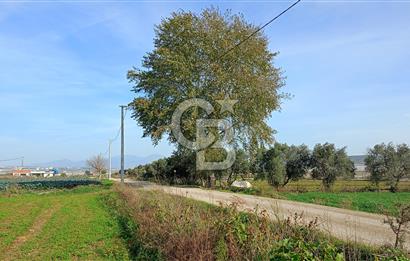İzmir menderes çileme köyünde satılık tarla