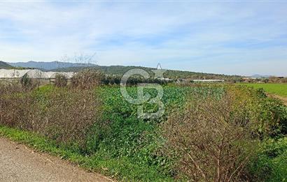 İzmir menderes çileme köyünde satılık tarla