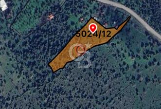 Hacıömerli de satılık tarla - 1 - 316380