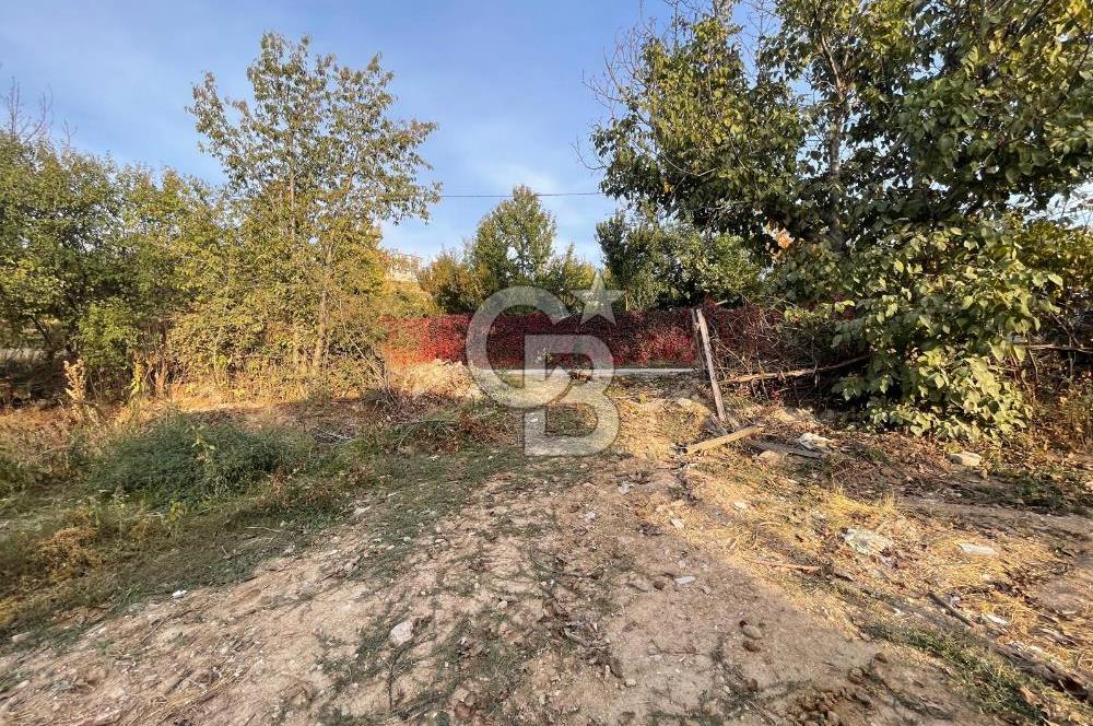 COLDWELL BANKER SAFİR'den KONAK da 1150m² SATILIK BAHÇE VE EV