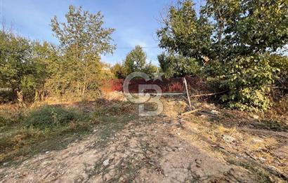 COLDWELL BANKER SAFİR'den KONAK da 1150m² SATILIK BAHÇE VE EV