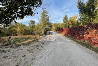 COLDWELL BANKER SAFİR'den KONAK da 1150m² SATILIK BAHÇE VE EV - 4 - 316388