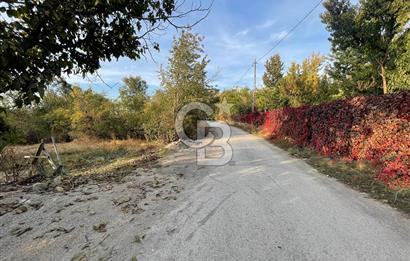 COLDWELL BANKER SAFİR'den KONAK da 1150m² SATILIK BAHÇE VE EV