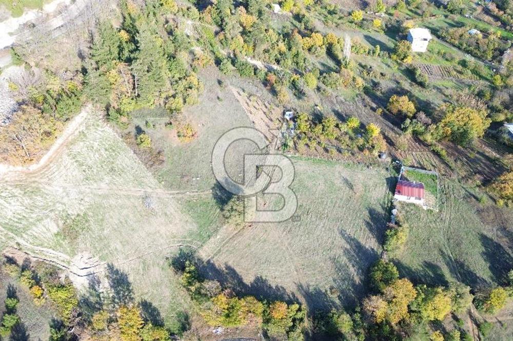 CB CLASS ÇAYBAŞI KÖYÜ MUHTEŞEM MANZARA SATILIK BAHÇE