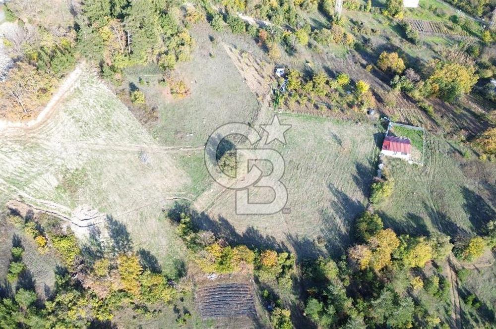 CB CLASS ÇAYBAŞI KÖYÜ MUHTEŞEM MANZARA SATILIK BAHÇE