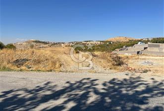 COLDWELL BANKER SAFİR'den GÜNDÜZBEY de 5400 m² SATILIK BAĞ - 1 - 316411