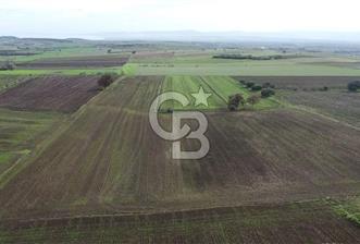 ÇANAKKALE BİGA KARABİGA'DA 16 DÖNÜM SATILIK TARLA - 1 - 316591
