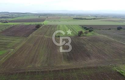 ÇANAKKALE BİGA KARABİGA'DA 16 DÖNÜM SATILIK TARLA