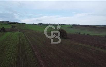 ÇANAKKALE BİGA KARABİGA'DA 16 DÖNÜM SATILIK TARLA