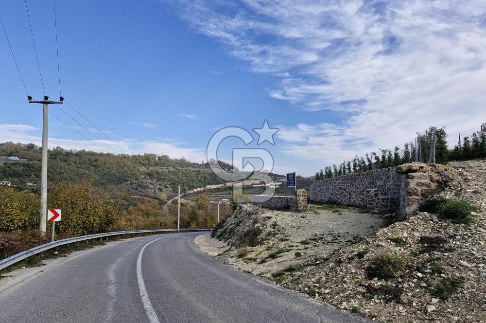 KOCAELİ GEBZE ELBİZLİ'DE SATILIK 1869 M2 TEK TAPULU ARAZİ